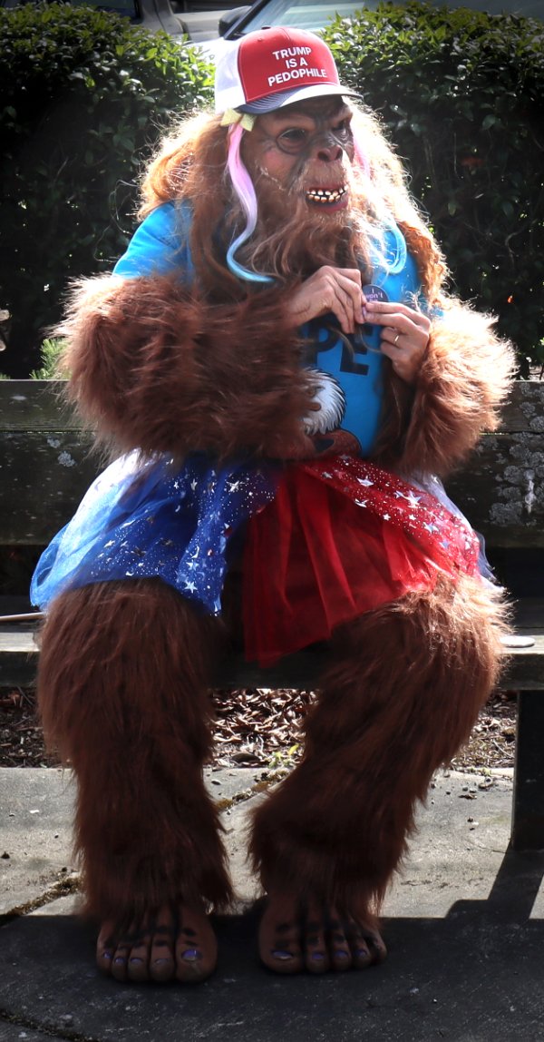 Monkey costume