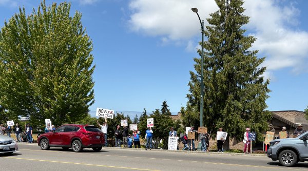 No kings demonstrators